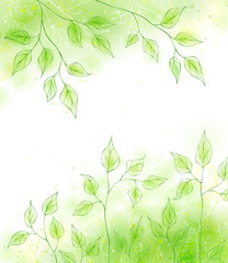 Vector spring background with green leaves
