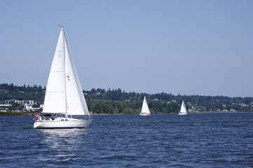 Obraz premium Sailboats on the Columbia River on a nice day.