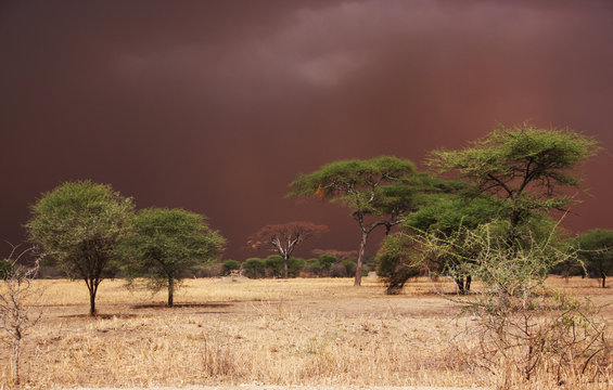 Sandsturm in Afrika