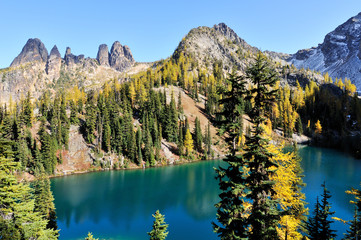 Golden Larch trees and Blue Lake Trail