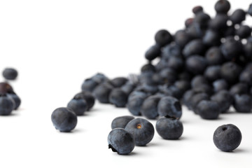 Blaubeere