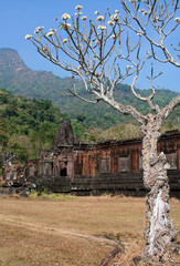 Naklejka premium Ruins of the Wat Phu Temple Laos