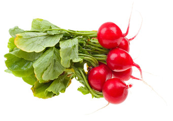 Fresh radishes isolated on white