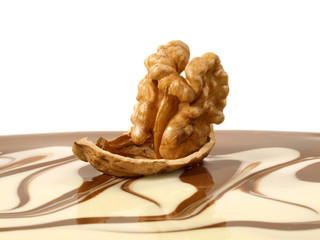 Walnuss in flüssiger Schokolade