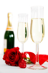 Champagne & Roses
