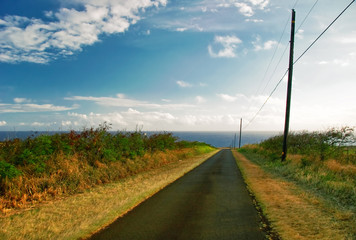 Landscape of Big Island. Hawaii. USA