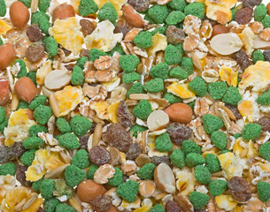 Texture background of mixture of rodent feet