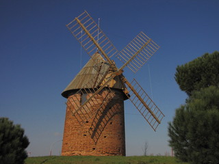 Toulouse, ville rose, nature et sauvage