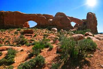 Fototapete bei efototapeten.de bestellen   