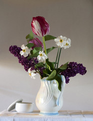 flowers of lilies, tulips and narcissus