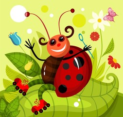 ladybird