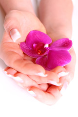 körperpflege,hände