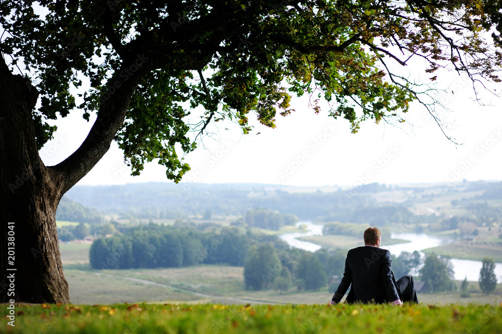 Wall mural business man resting under an oak