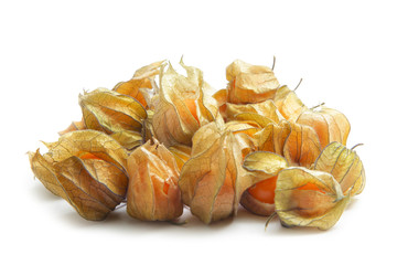 Physalis