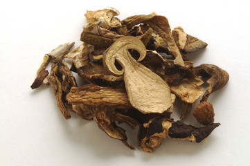 Funghi secchi