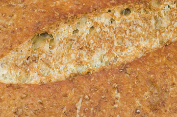 Whole wheat French bread