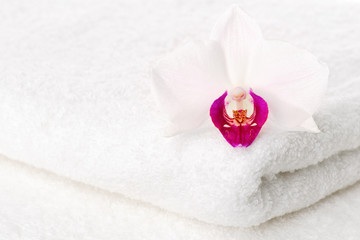 Obraz na płótnie Canvas orchid on towel