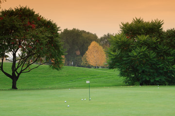 Fototapeta premium Golf meadow