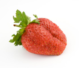 strawberry isolated