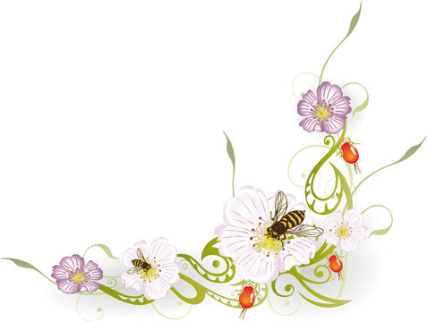 Wildrose, Rosen, Bienen, florale Ranke, Blumen