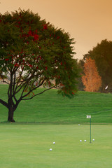 Fototapeta premium Golf meadow