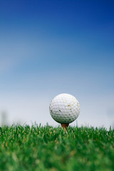 Golf ball on the grass