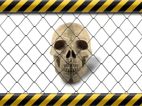 バックグラウンド