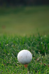 Golf ball on the grass