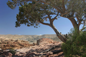 Fototapeta na wymiar Petra krajobraz