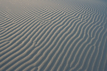 Fototapeta na wymiar Muster im Sand der Oregon Dunes - USA