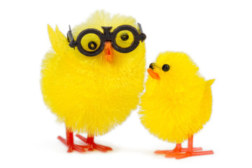 baby chick with funny older brother