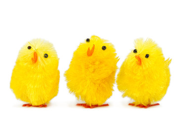three singing chicks