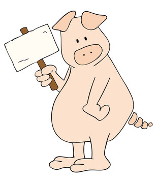 Pig with white placard.
