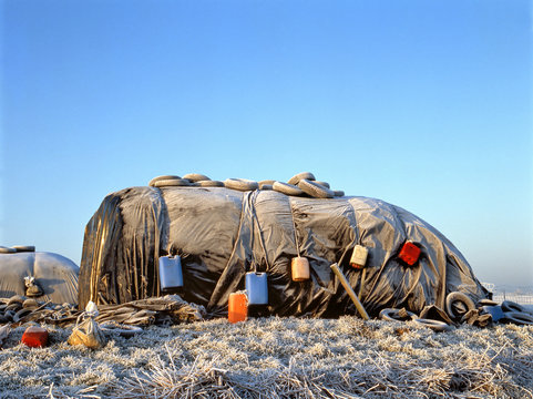 Silage in winter