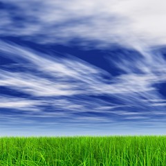 Fototapeta na wymiar High resolution grass and sky background