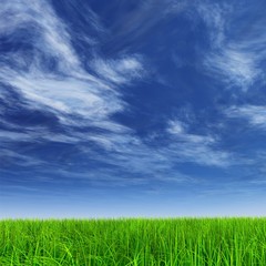 High resolution grass and sky background
