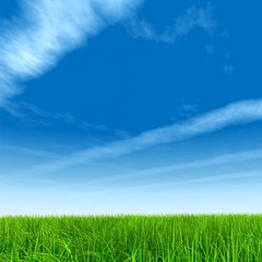 Obraz na płótnie Canvas High resolution grass and sky background