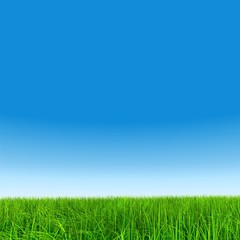 Plakat High resolution grass and sky background