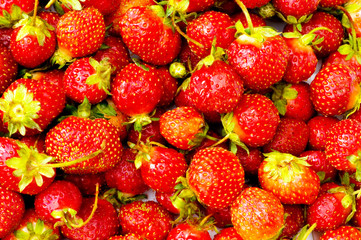 Red strawberries isolated on the white background
