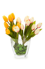 Colourful tulips isolated on the white background