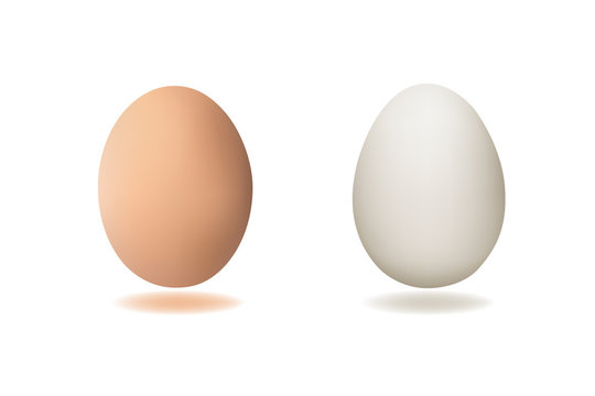 eggs vector illustration