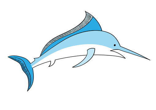 recommend clip art: swordfish