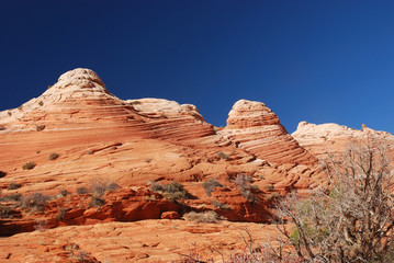 Fototapeta premium Paria Canyon,Vermilion Cliffs National Monument