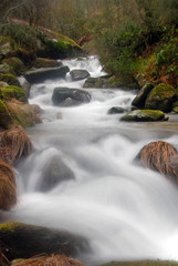 rio Resma en Navacerrada