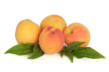 Apricot Fruit