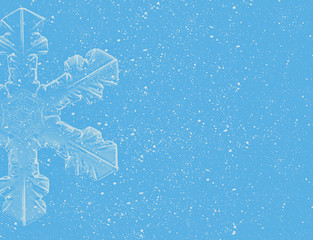 Lite Blue Snowflakes on blue background