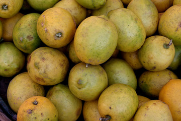 Lemonen in Nepal