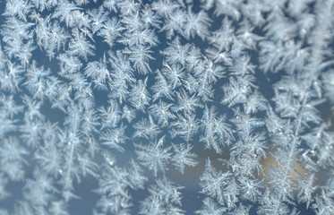 Ornament of frost on a window