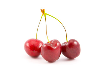 Ripe berries of a sweet cherry