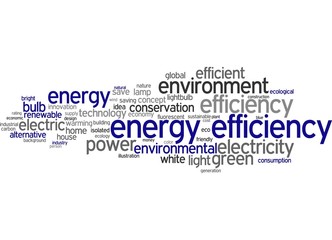 Energy Efficiency